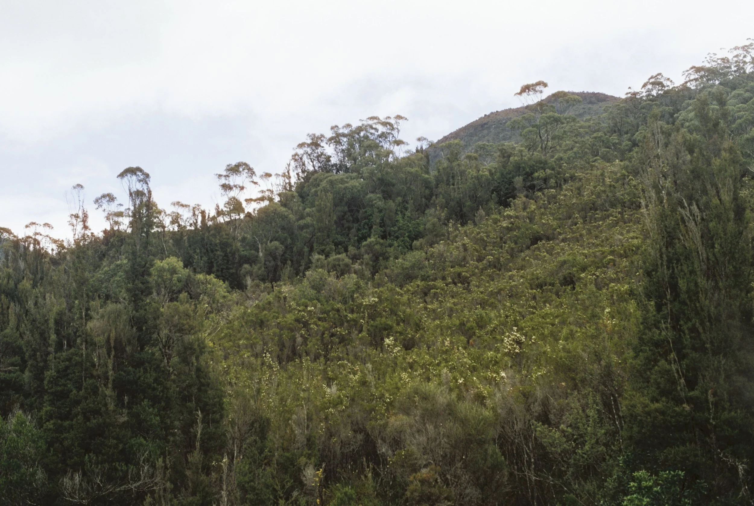 Fury Gorge- The Call of the Abyss- Part II
