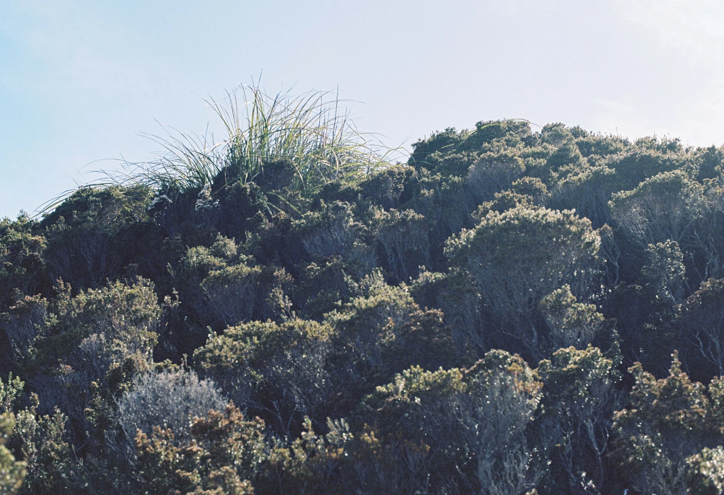 Fury Gorge- The Call of the Abyss- Part IV: Granite Tor