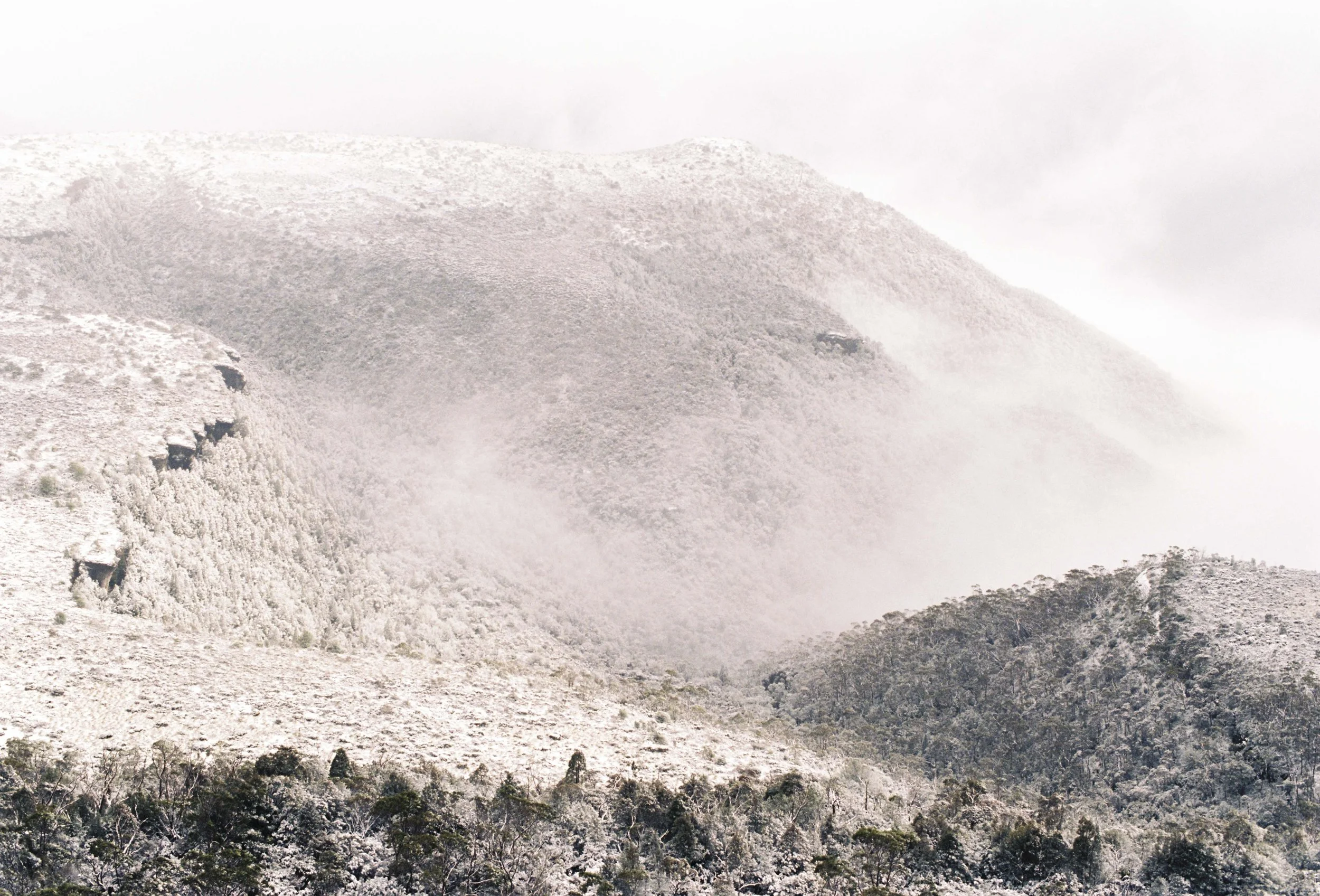 Fury Gorge- The Call of the Abyss, Part VI: The Decision