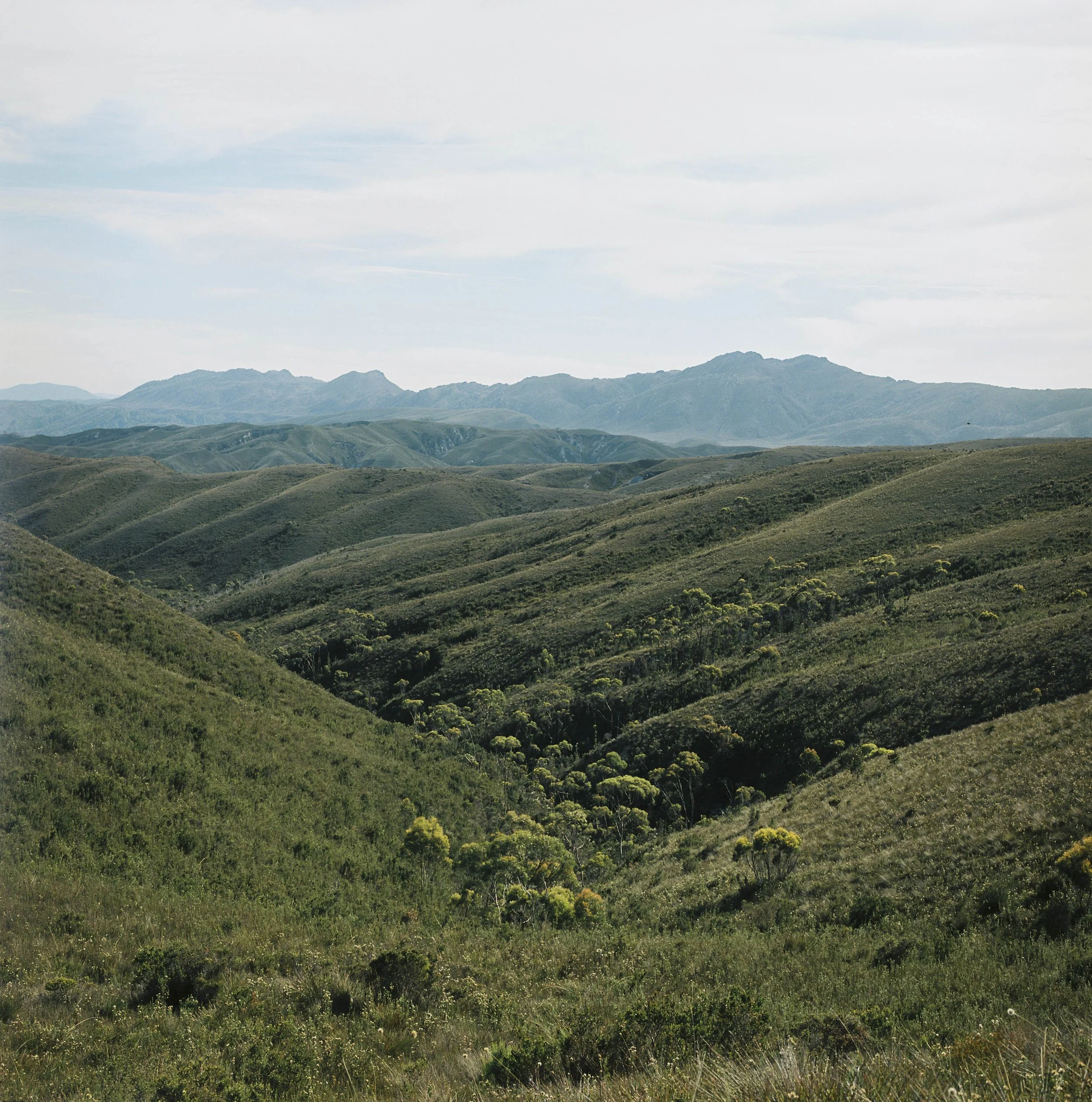 Along the old road to the lighthouse...