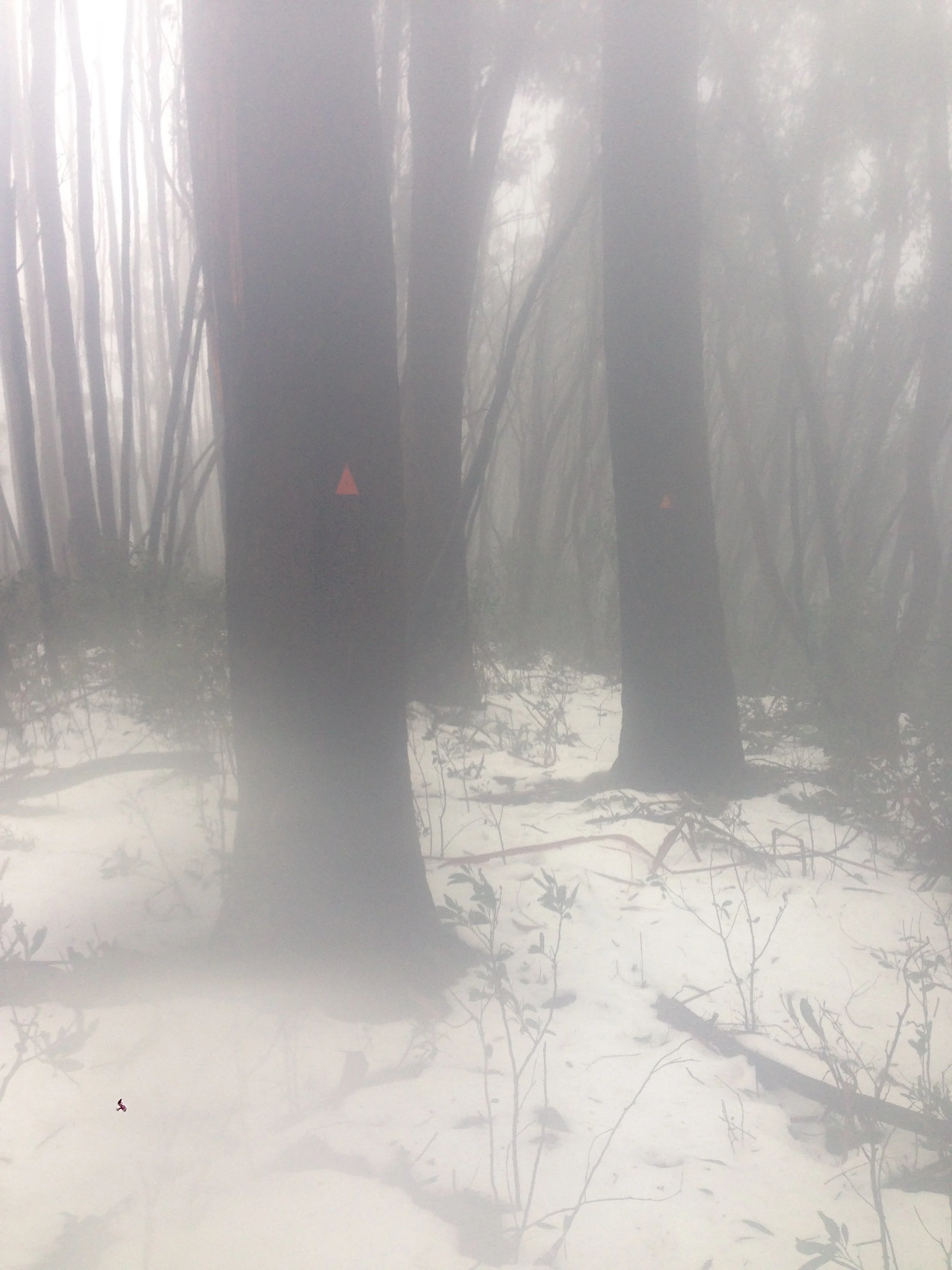 Mt Buller Circuit : Part II