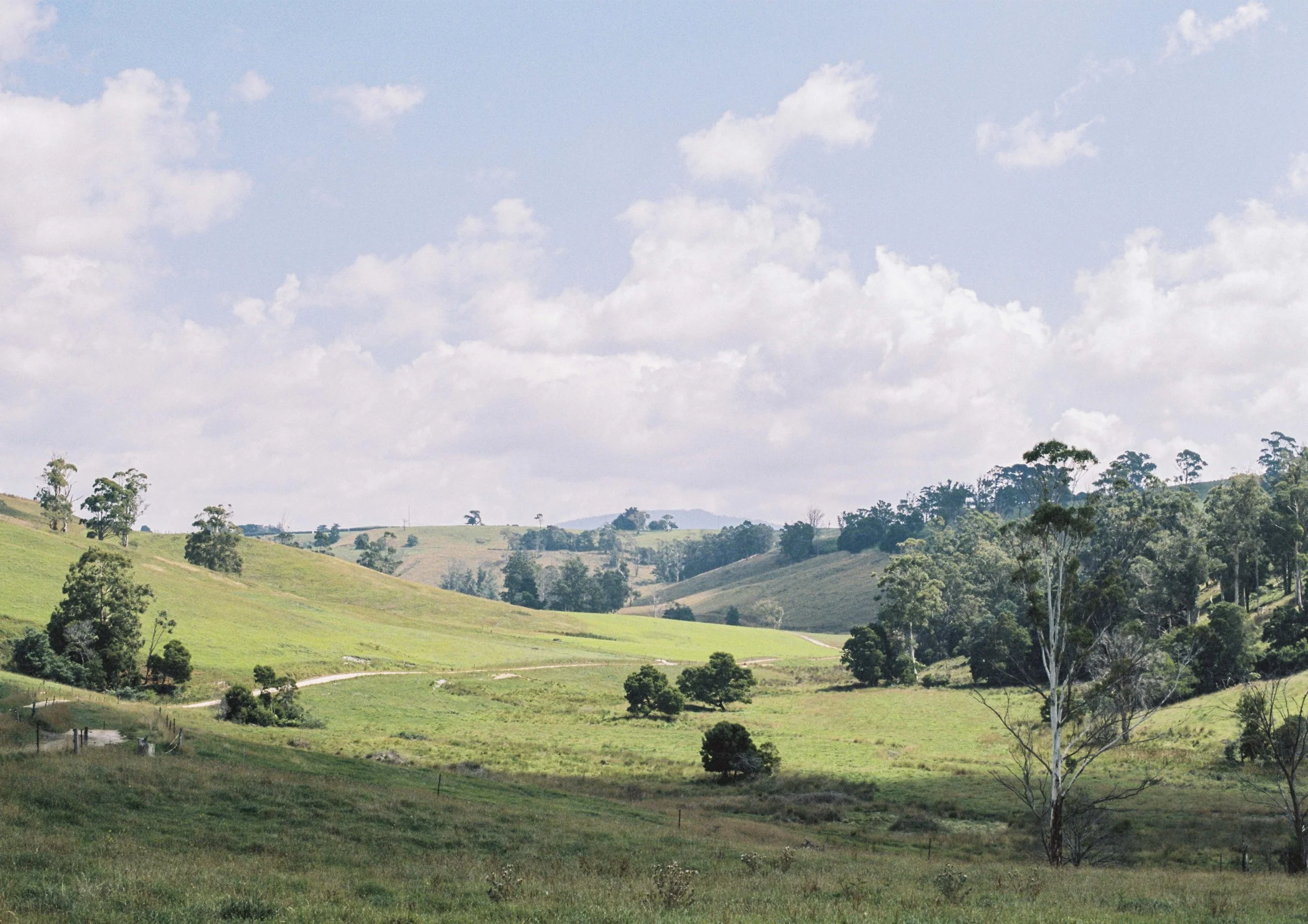 Getting along with Nature