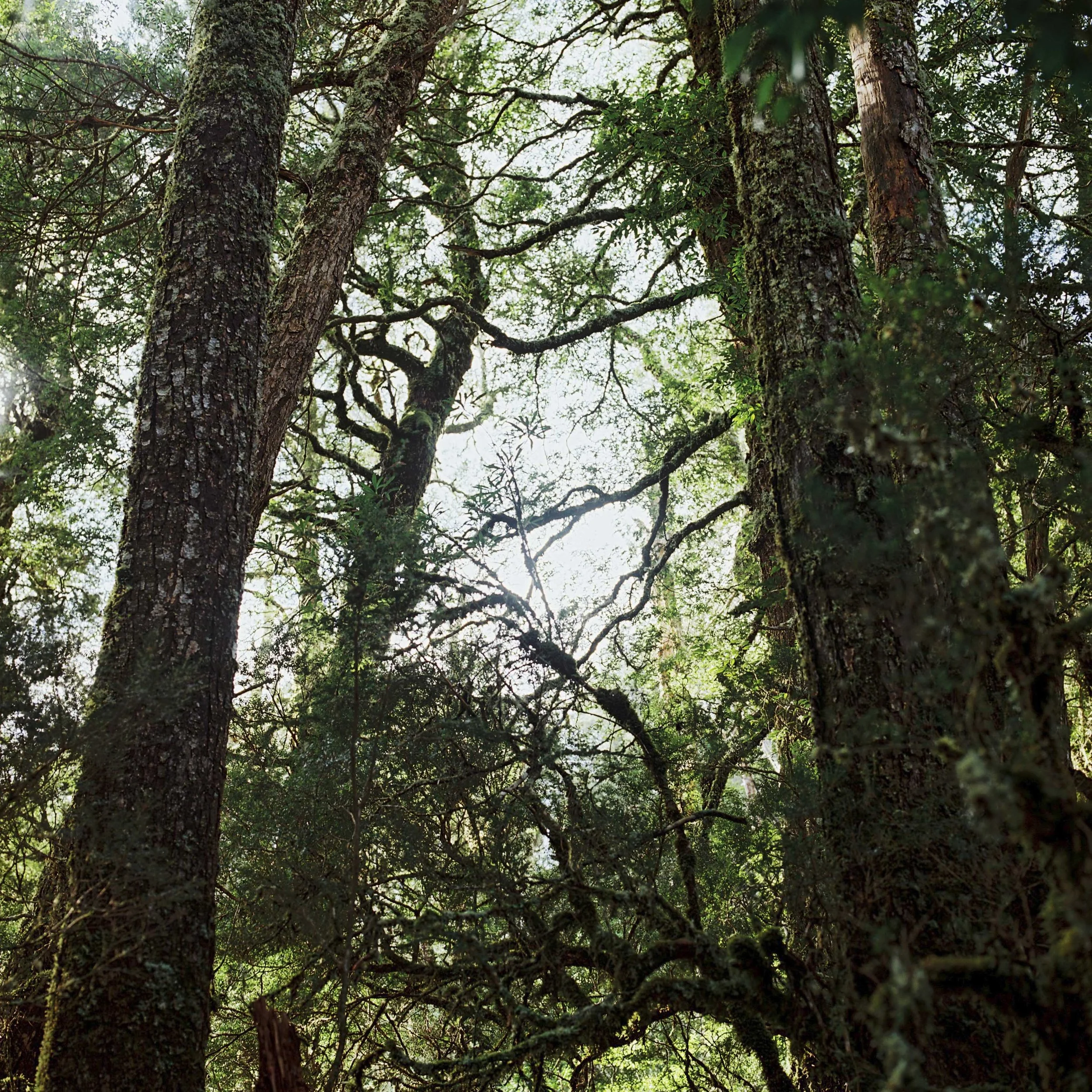 Twelve photographs from last year...