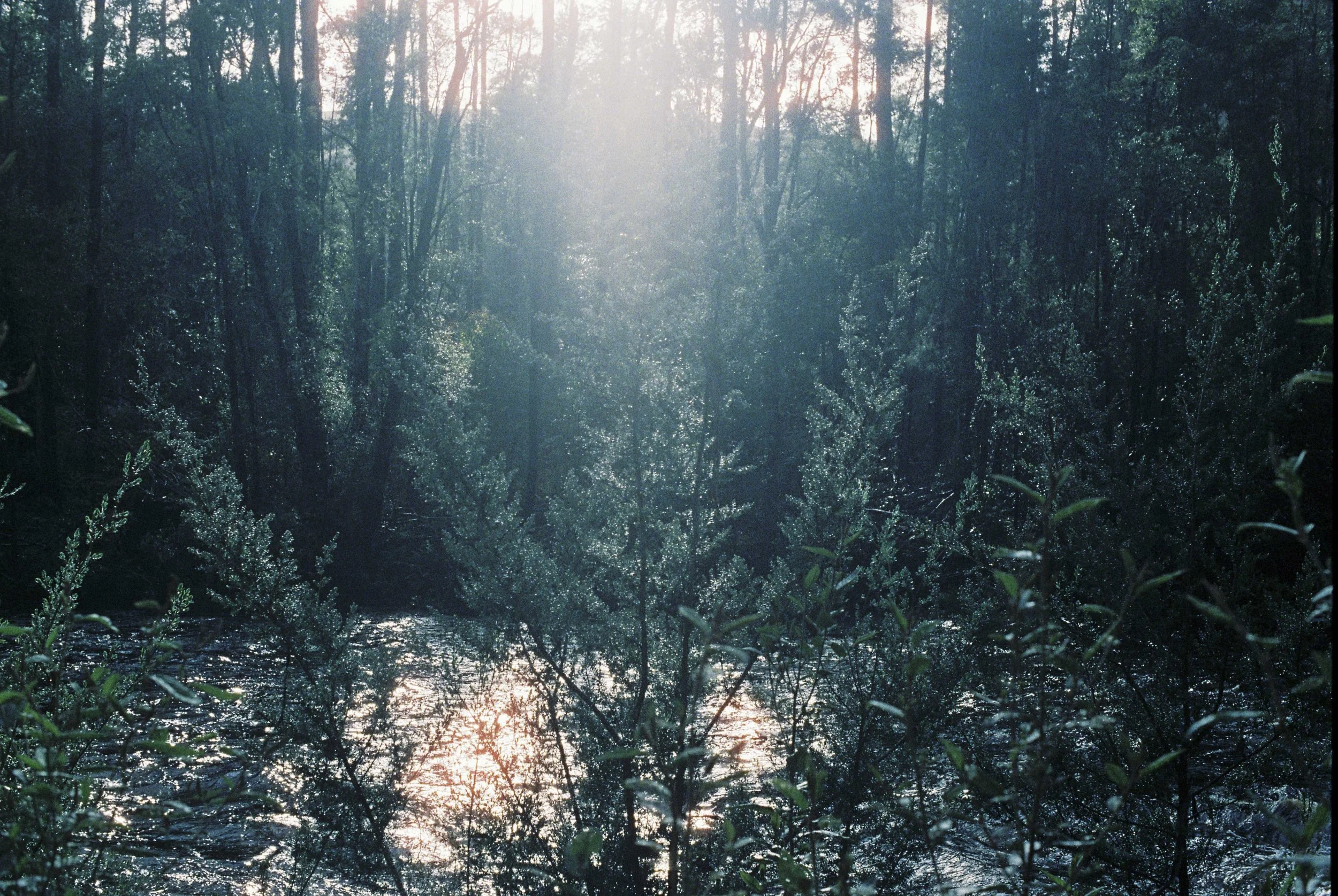 Raftwalking in the South-West XV: The Victory Paddle down the Cracroft-Huon