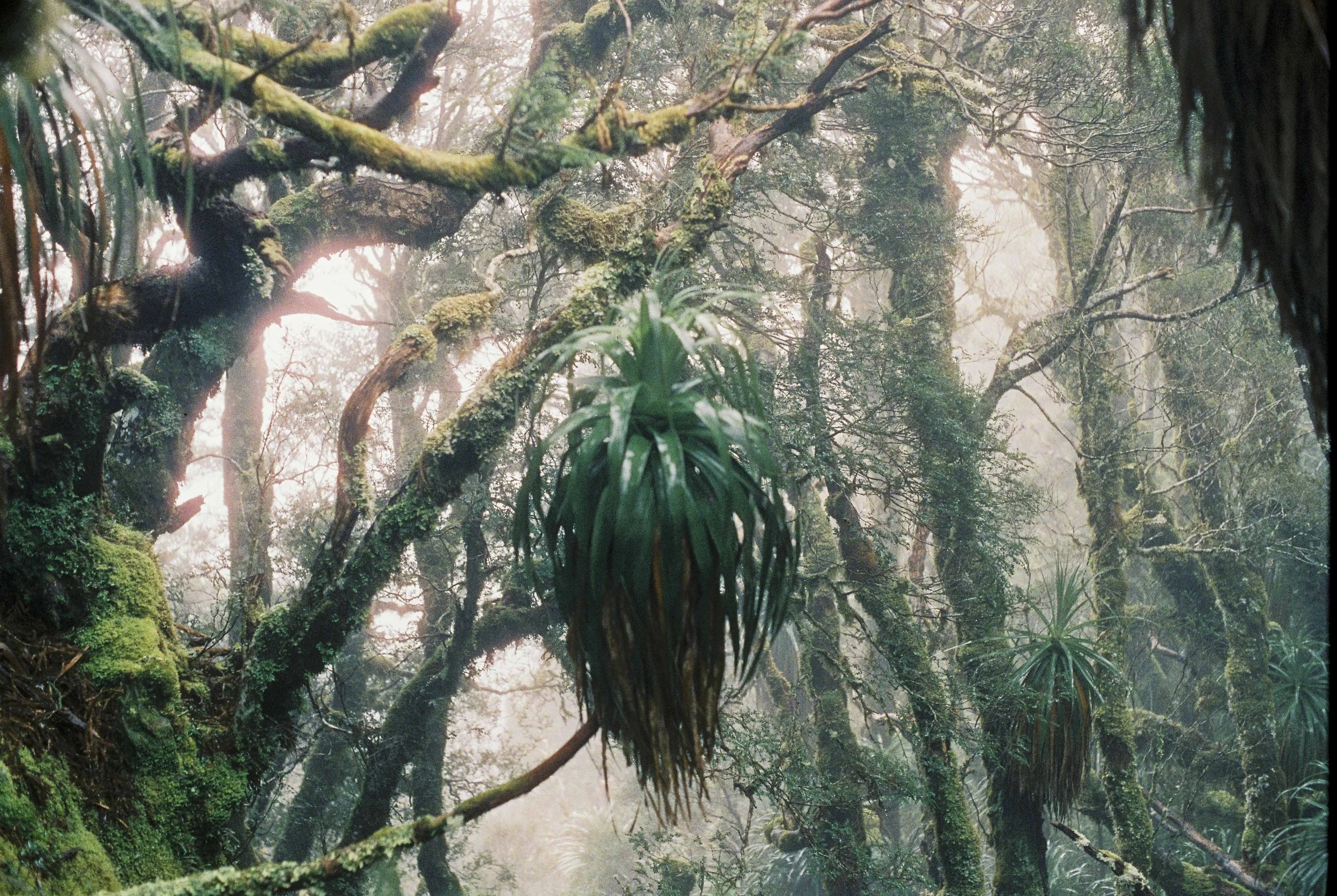 Raftwalking in the South-West XIV: The Eastern Arthurs 