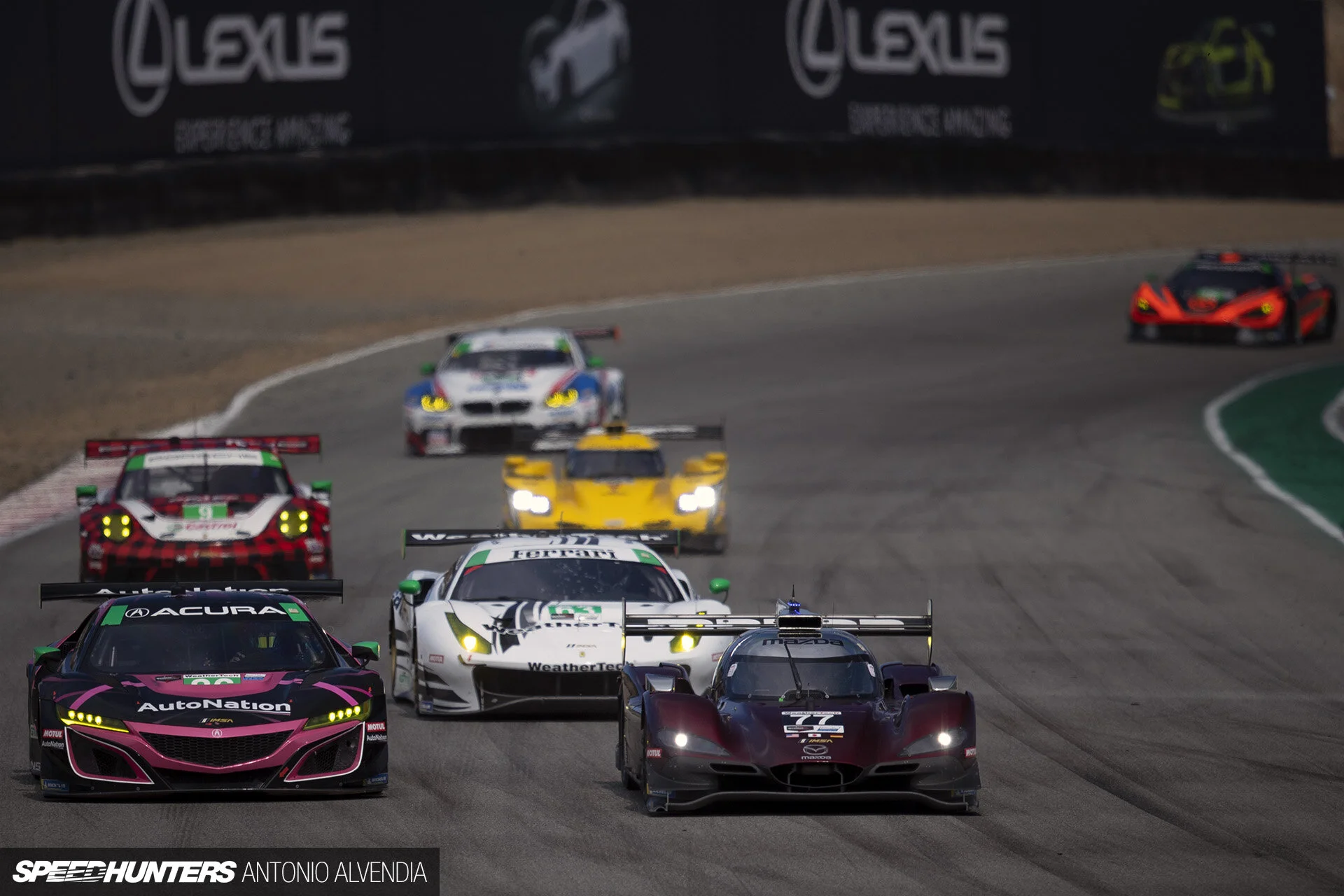 IMSA Laguna Seca Antonio Sureshot 1920wm 1DX22529 300.jpg