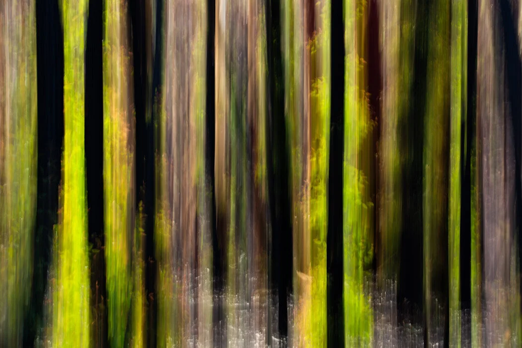 Malua_Adelong-19.jpg