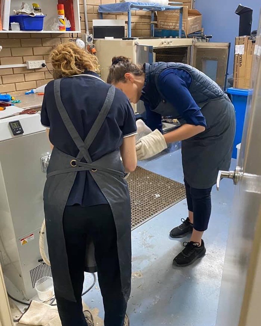 Work continues at NVOPS with Liz and Breanna molding plastic on a custom ankle orthosis for one of our younger clients. Great teamwork!  #orthoticsandprosthetics #orthotech #orthotics #afo #sheppartonshowme
