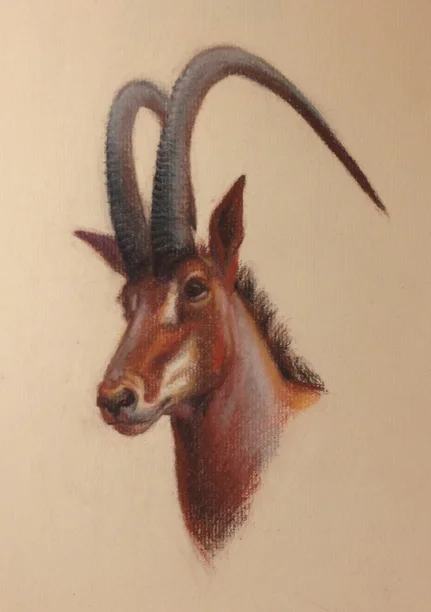03 giant sable.jpg