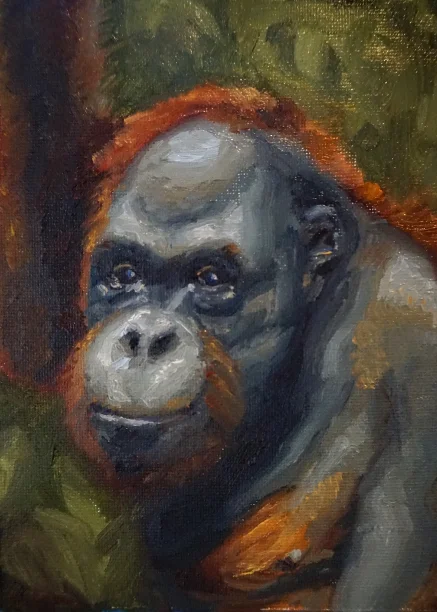  oil, 7" x 5"- Sepilok, Malaysia 