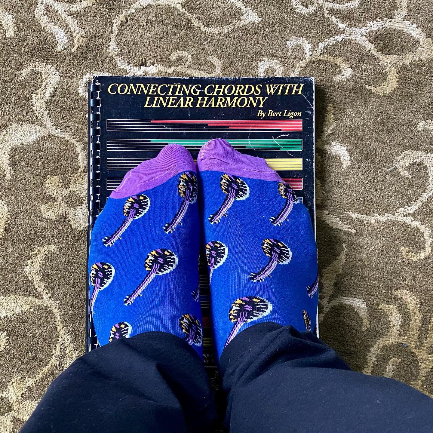 No better way to cool off from an epic weekend than in a pair of @tonytrischka banjo socks and diving straight into this Bert Ligon book.  Huge thanks to the entire faculty that made this Banjo Summit Online such a success and to all the 100+ student