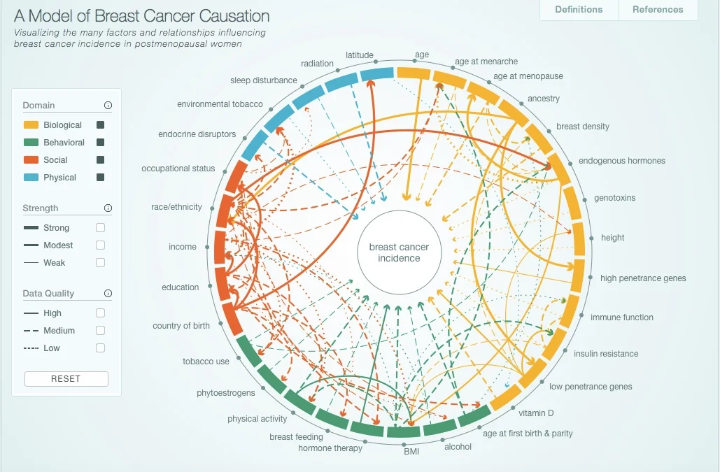 Interactive Model of Breast Cancer Causation - http://cabreastcancer.org. The full research article was published in journal Cancer Epidemiology, Biomarkers and Prevention can be found here.