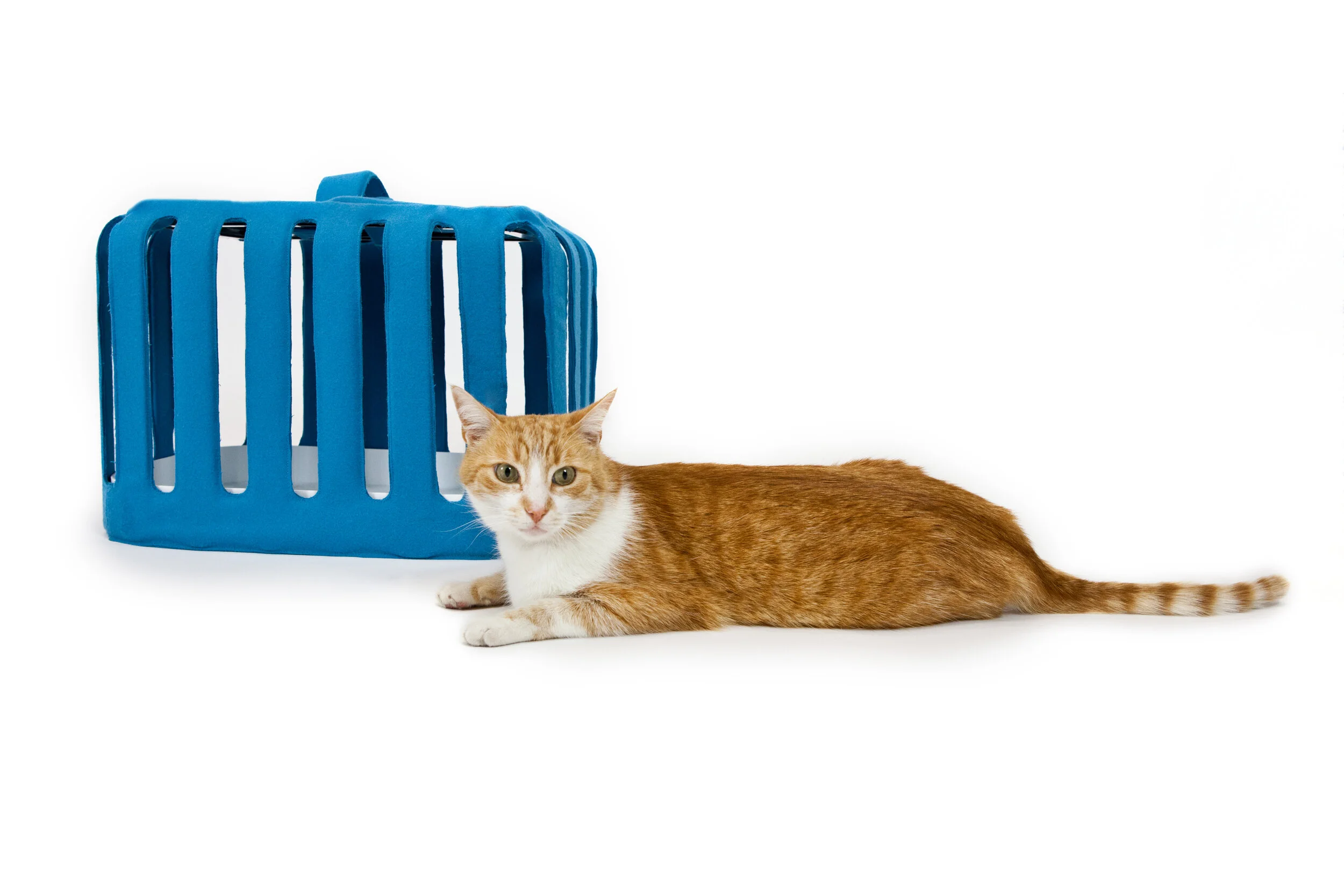 studio_ponsot_animal_5