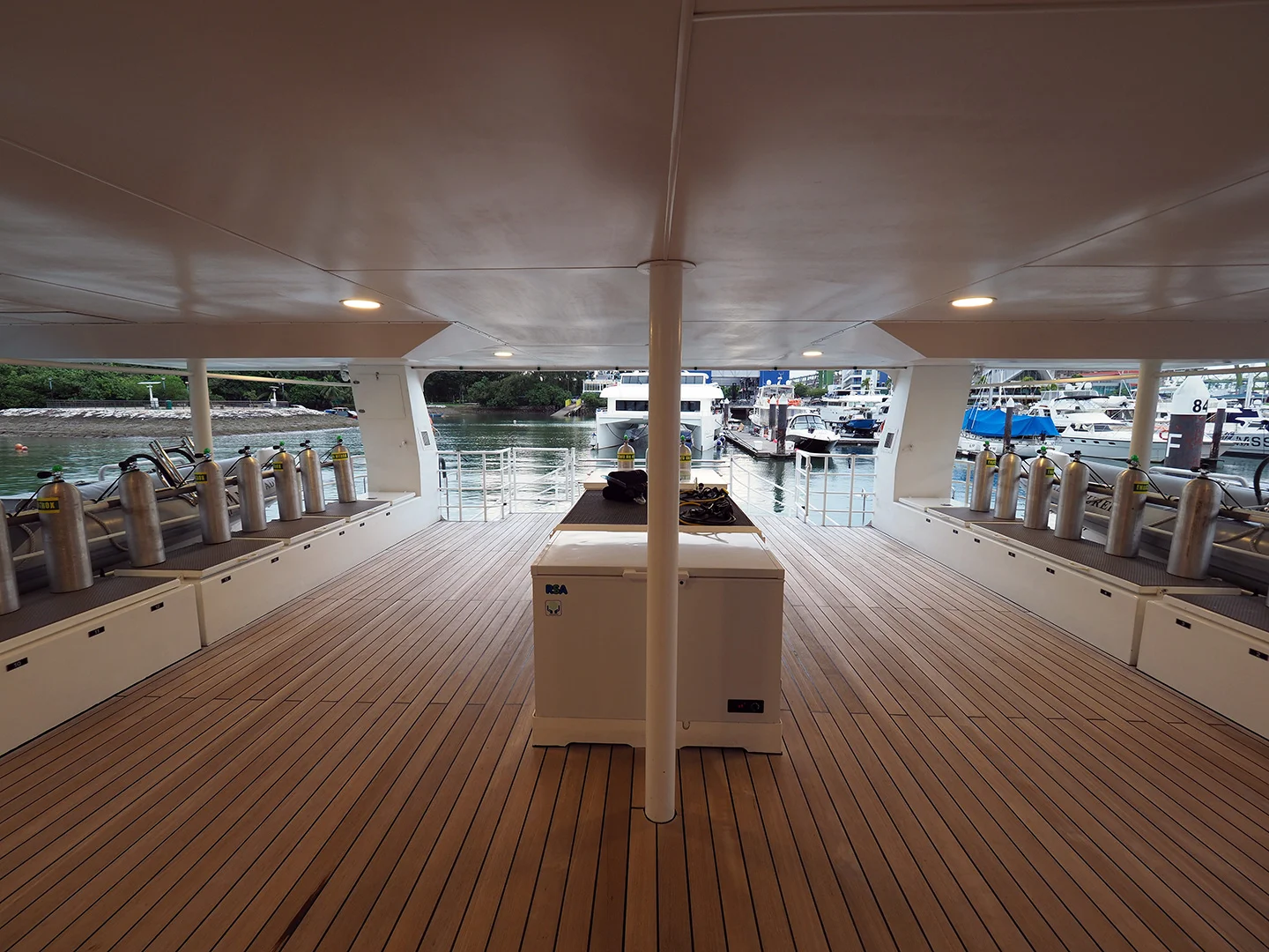 Dive-Deck.1.jpg