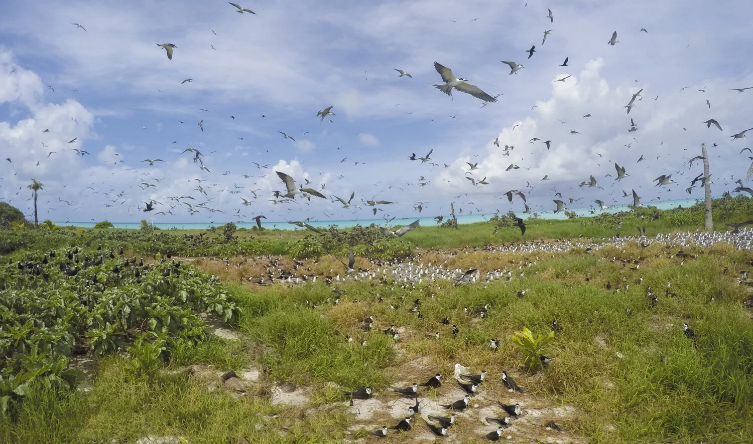 GOPR0163.jpg