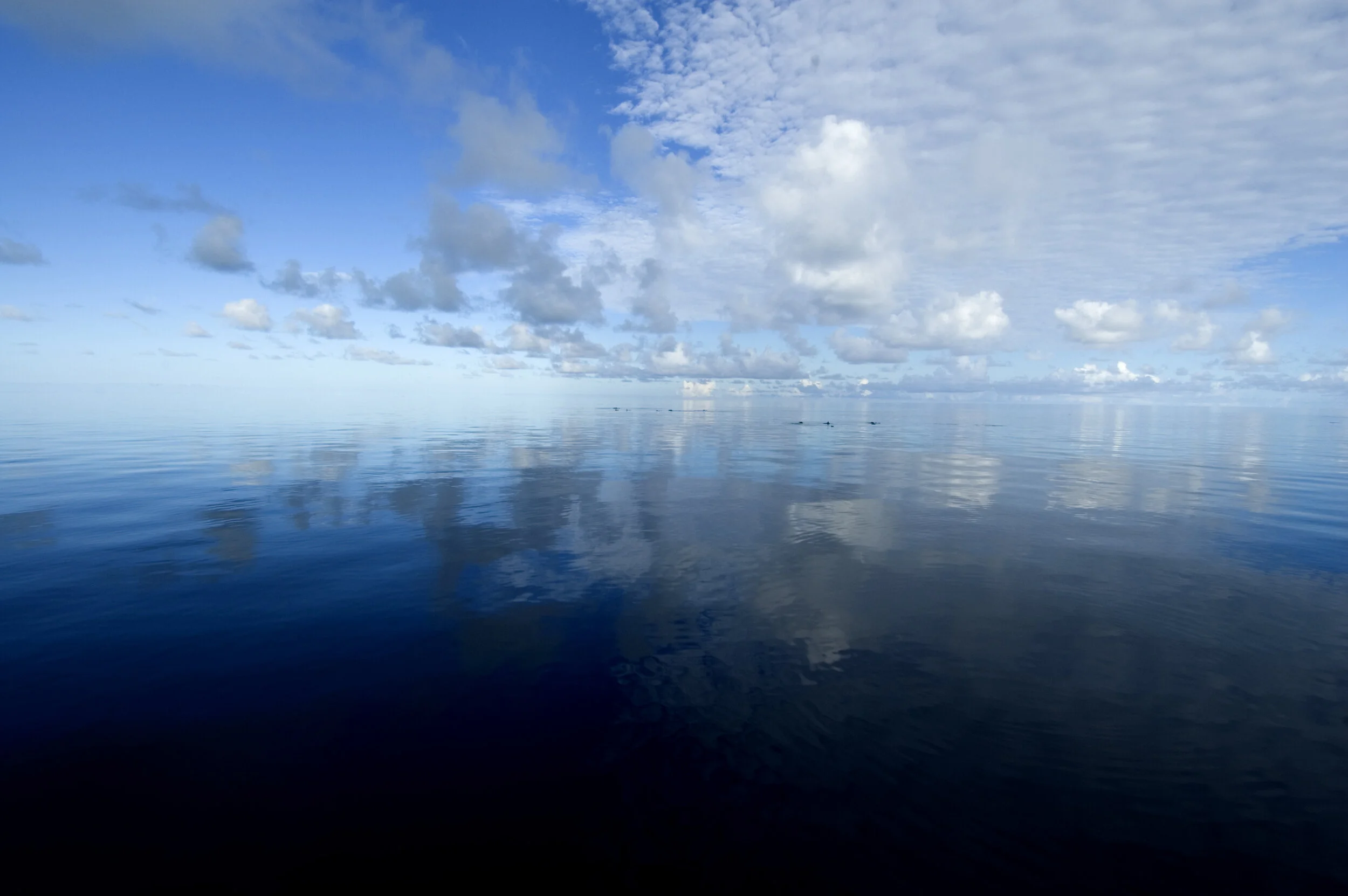 Ulong Sea.jpg