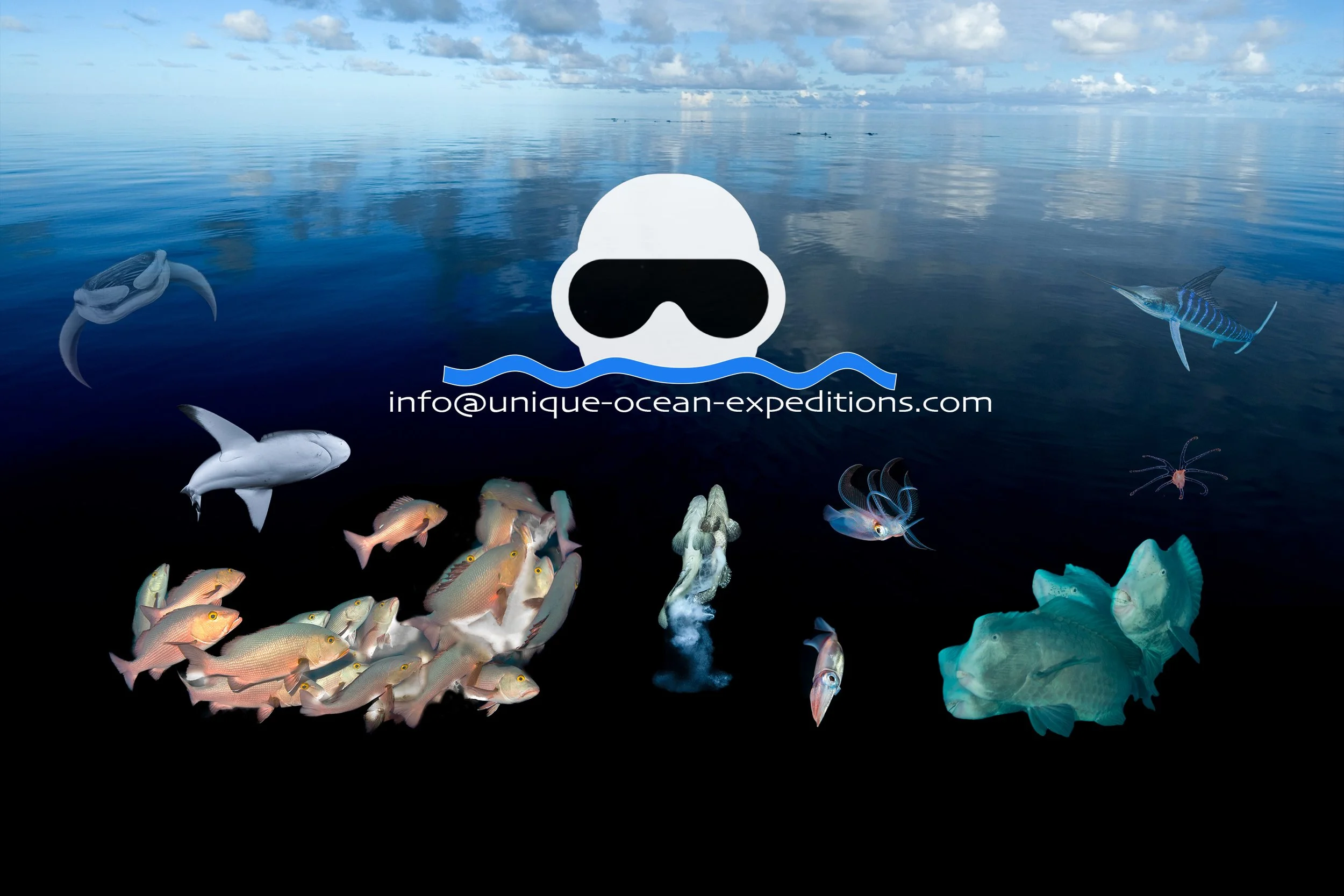 contact us email website copy.jpg