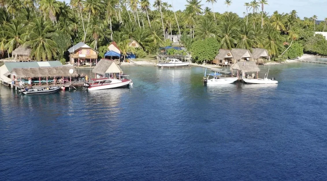 Screenshot 2024-07-12 at 1.17.jpeg