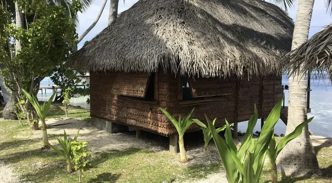 Screenshot 2024-07-12 at 1.19.jpeg