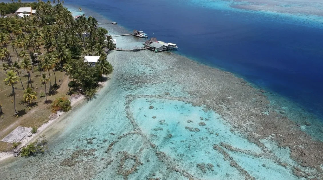 Screenshot 2024-07-12 at 1.16.jpeg