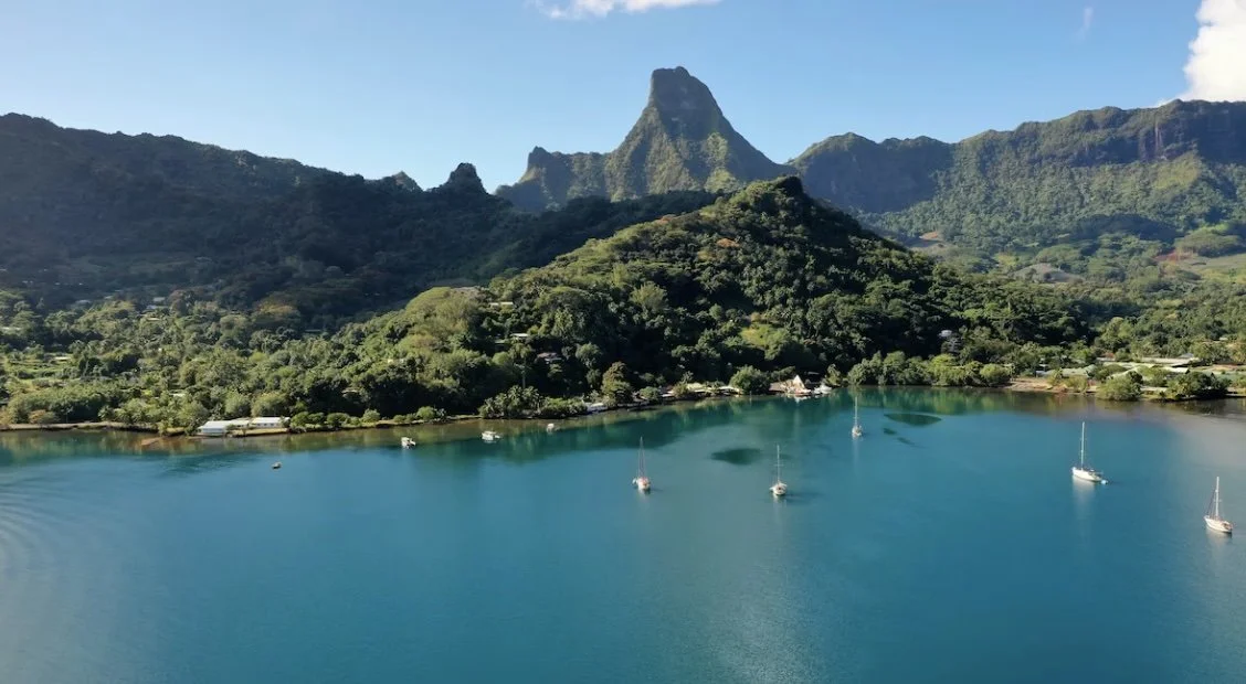 Screenshot 2025-11-09 at 9.53.jpeg