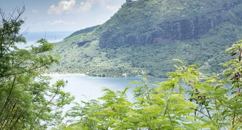 Screenshot 2025-11-09 at 9.54.jpeg