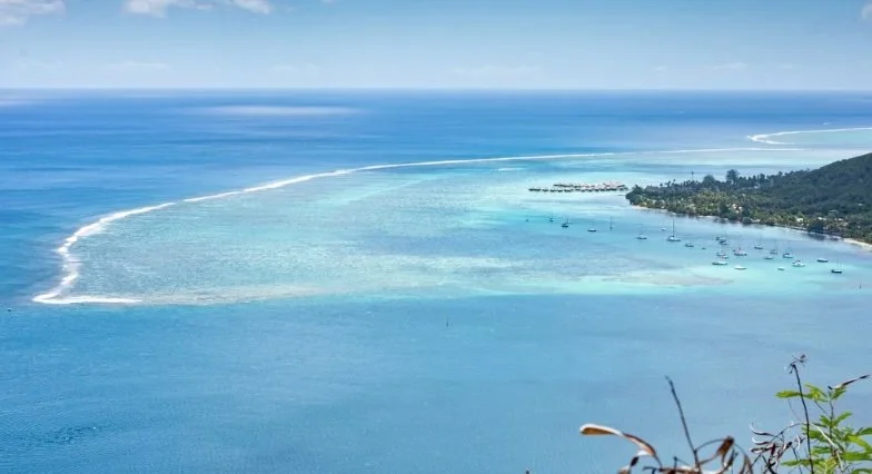 Screenshot 2025-11-09 at 9.54.jpeg