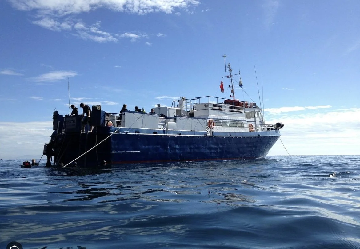 Screenshot 2026-01-01 at 3.58.26 PM.jpg