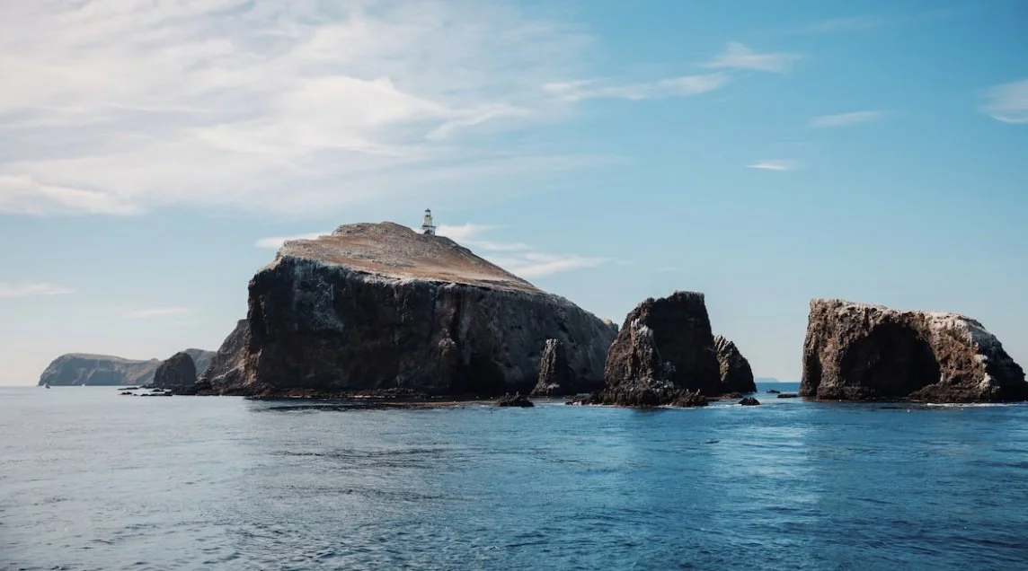 Screenshot 2026-01-01 at 4.24.52 PM.jpg