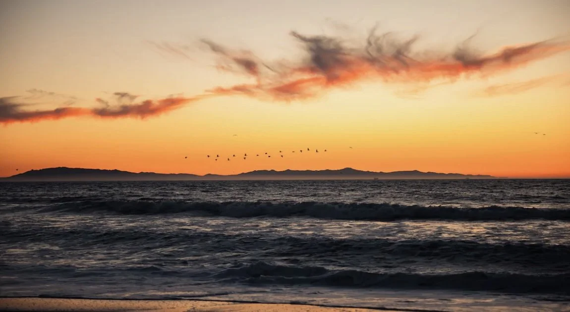 Screenshot 2026-01-01 at 4.33.13 PM.jpg