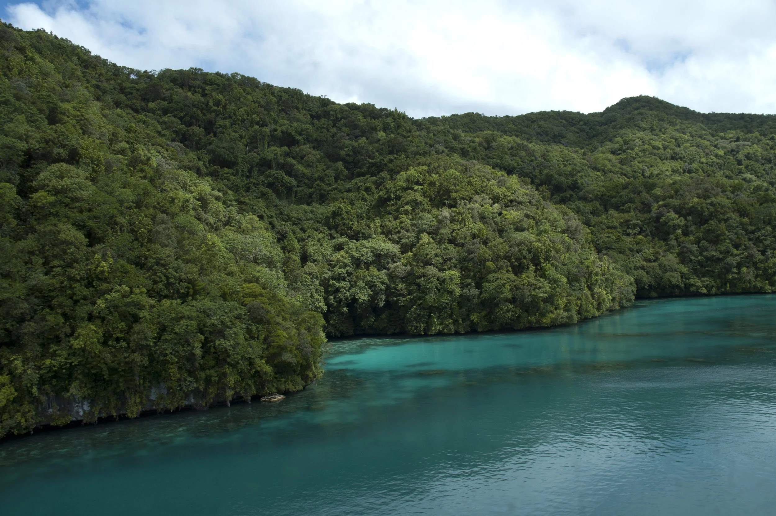 Palau Adventures_146.jpg