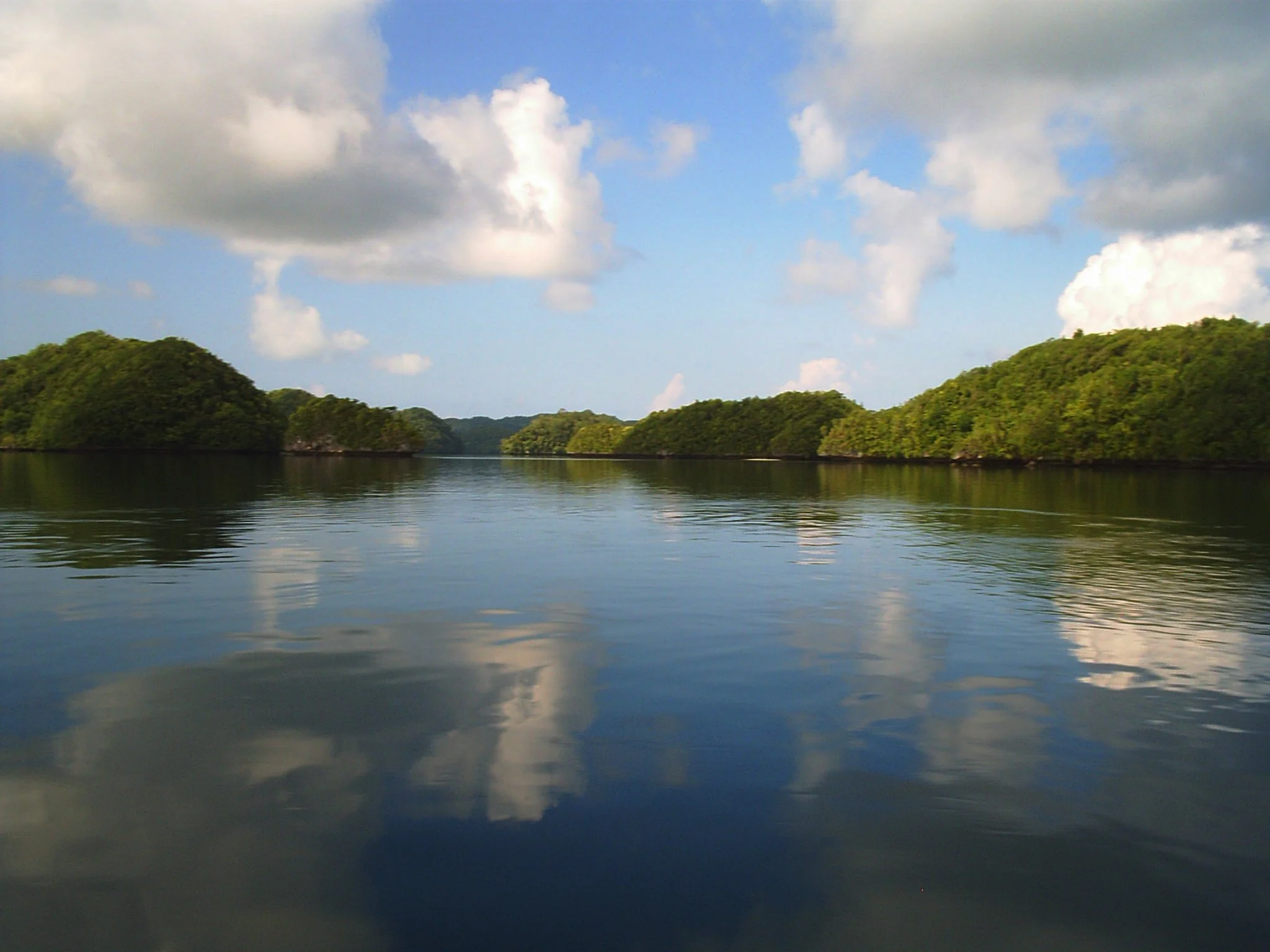 S3010064.jpg