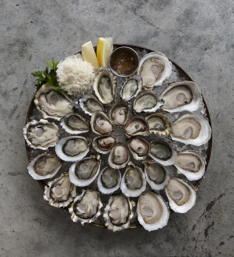 taylors_oysters.jpg