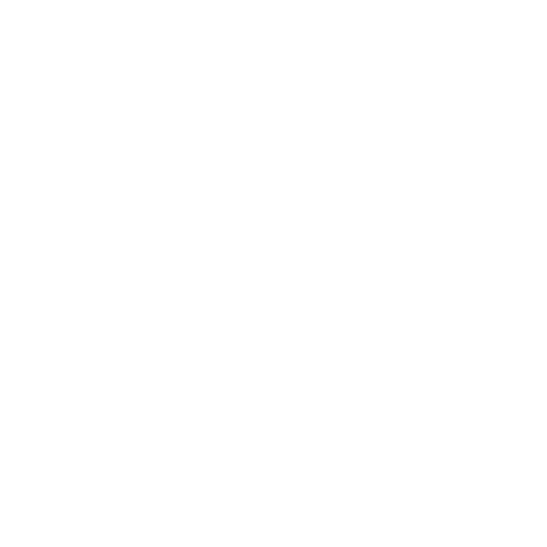 AdultPass.png