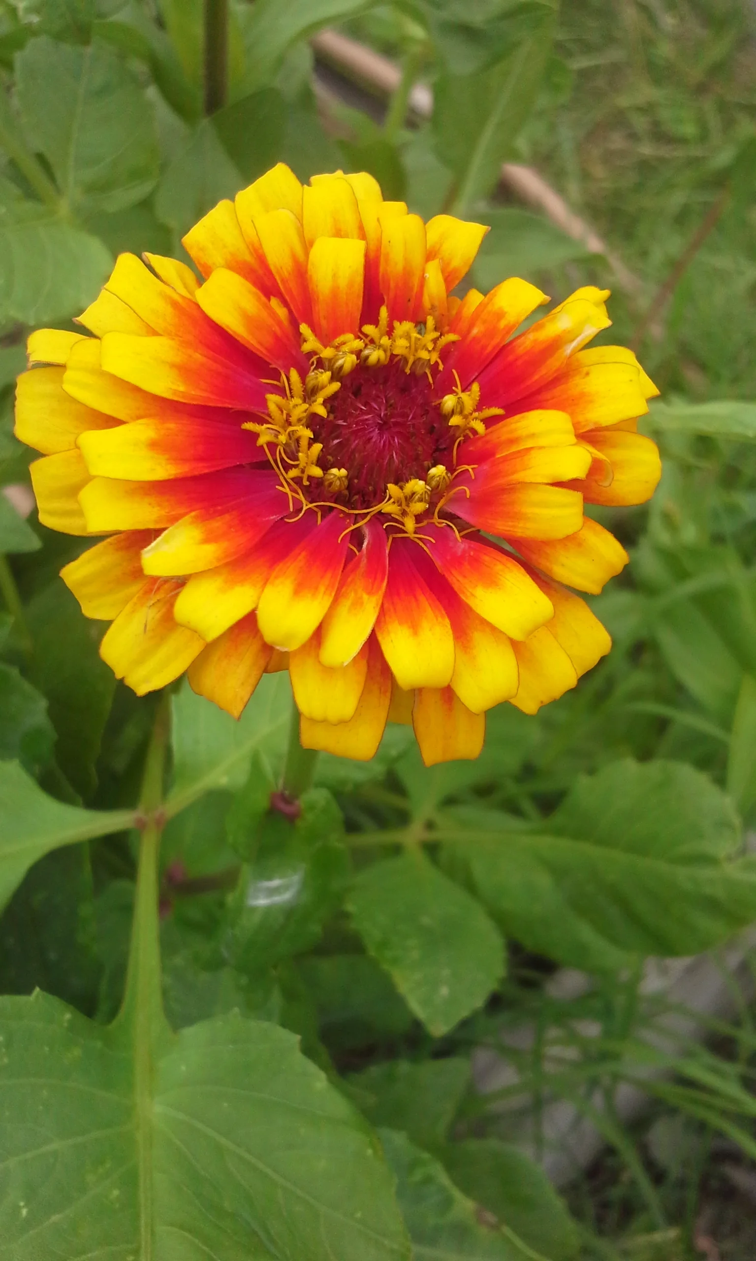 20160704_093822.jpg