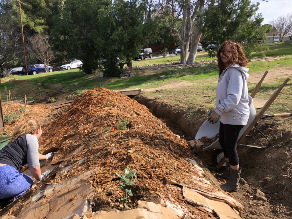 Native plants were planted along the top of the swale