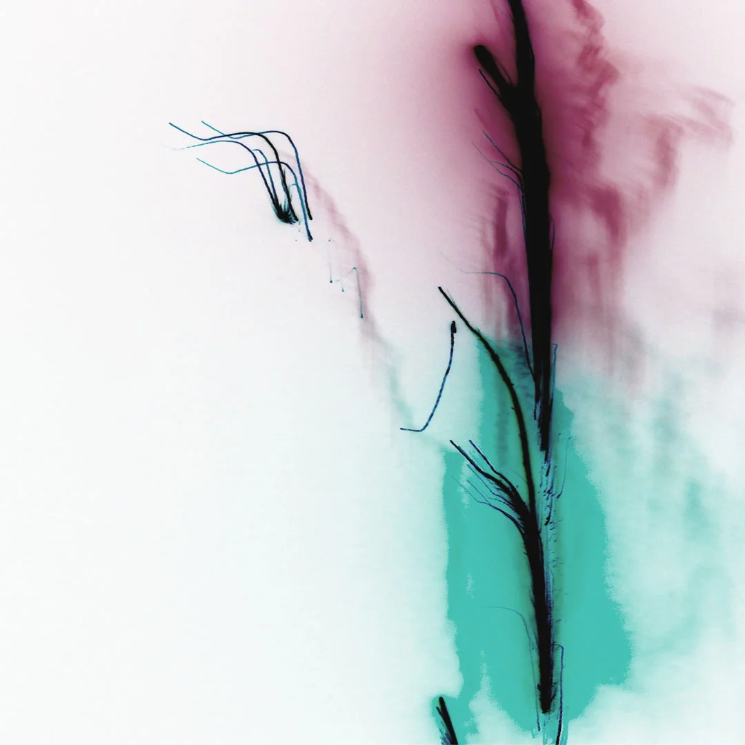 inverted firework 1.jpg