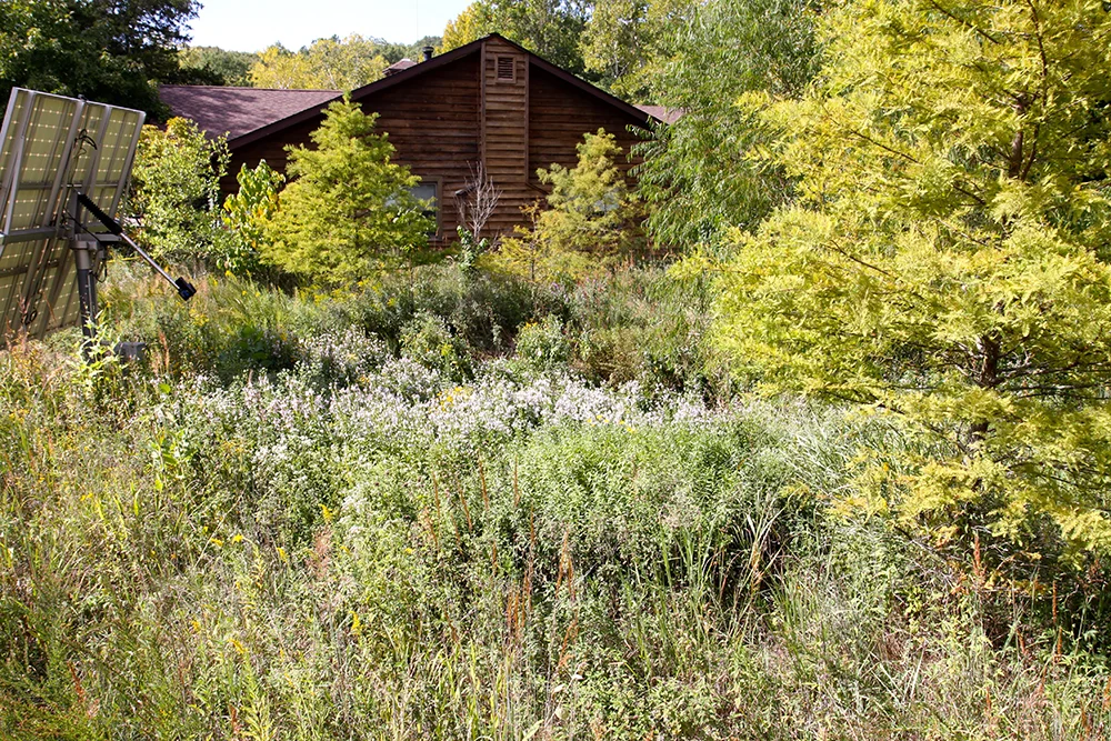 LLC Rain Garden2.jpg