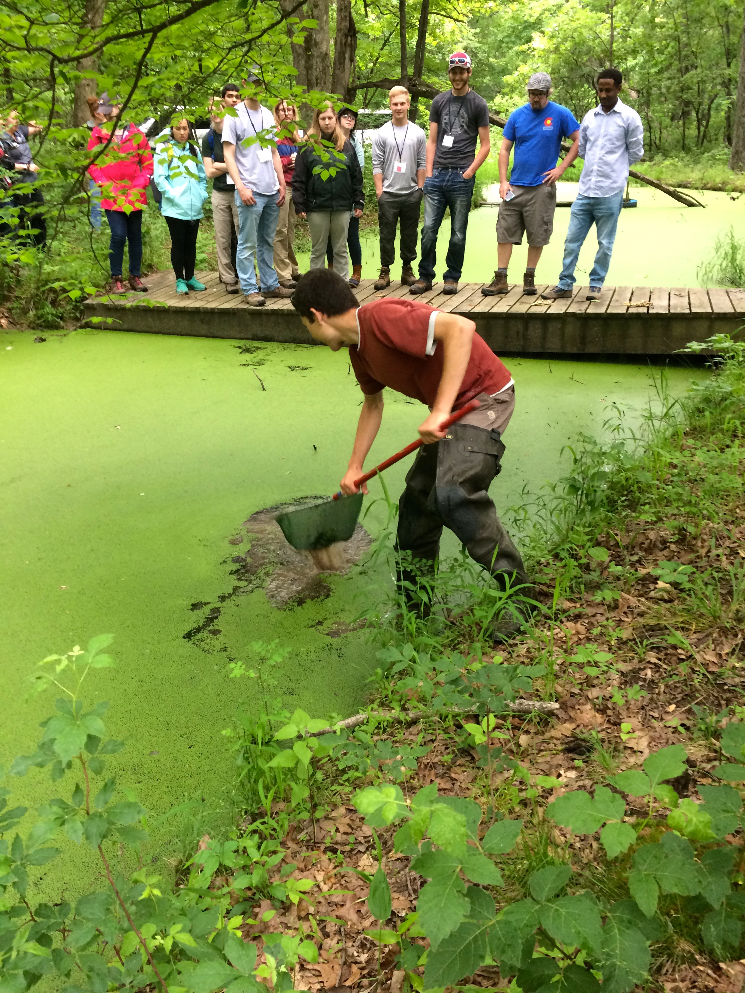Pond sampling.jpg