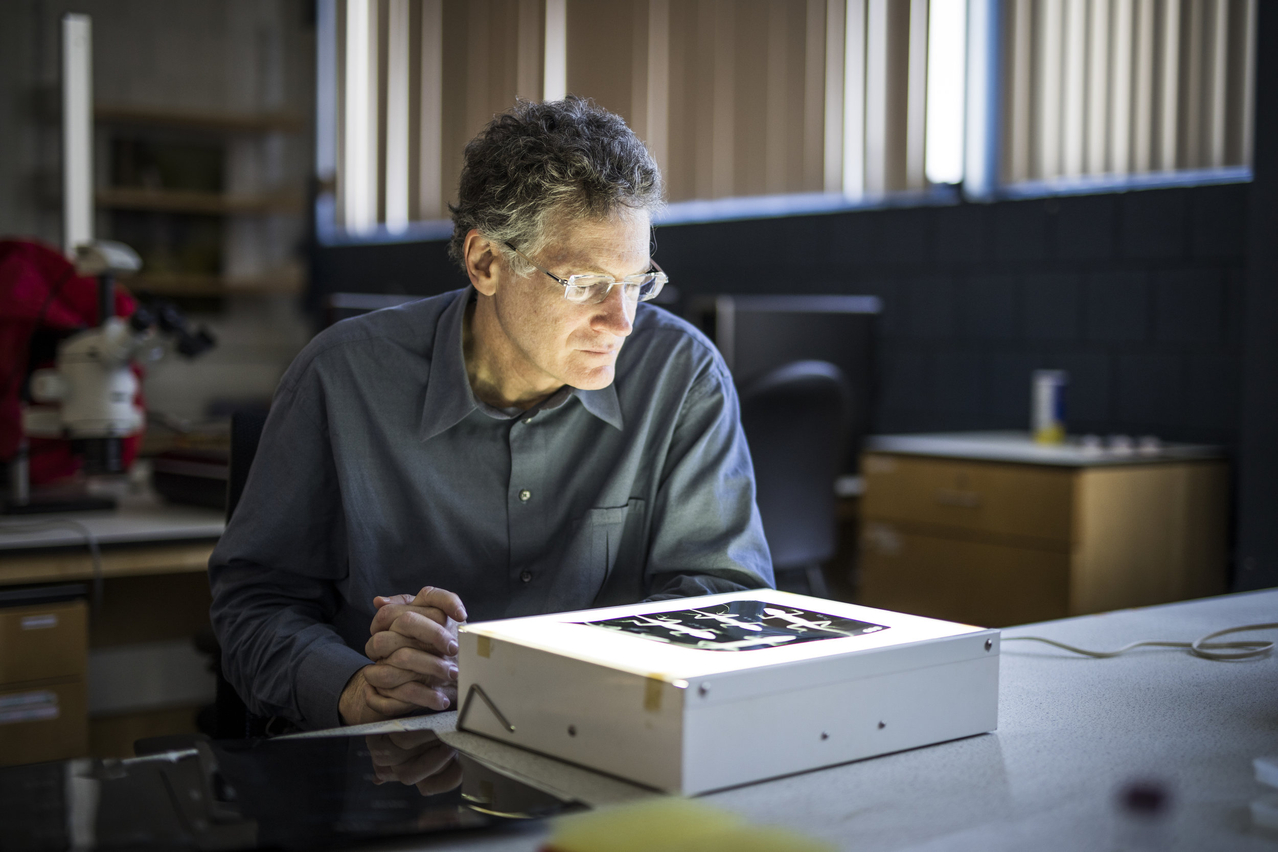 Former Tyson director to launch Living Earth Collaborative (video)