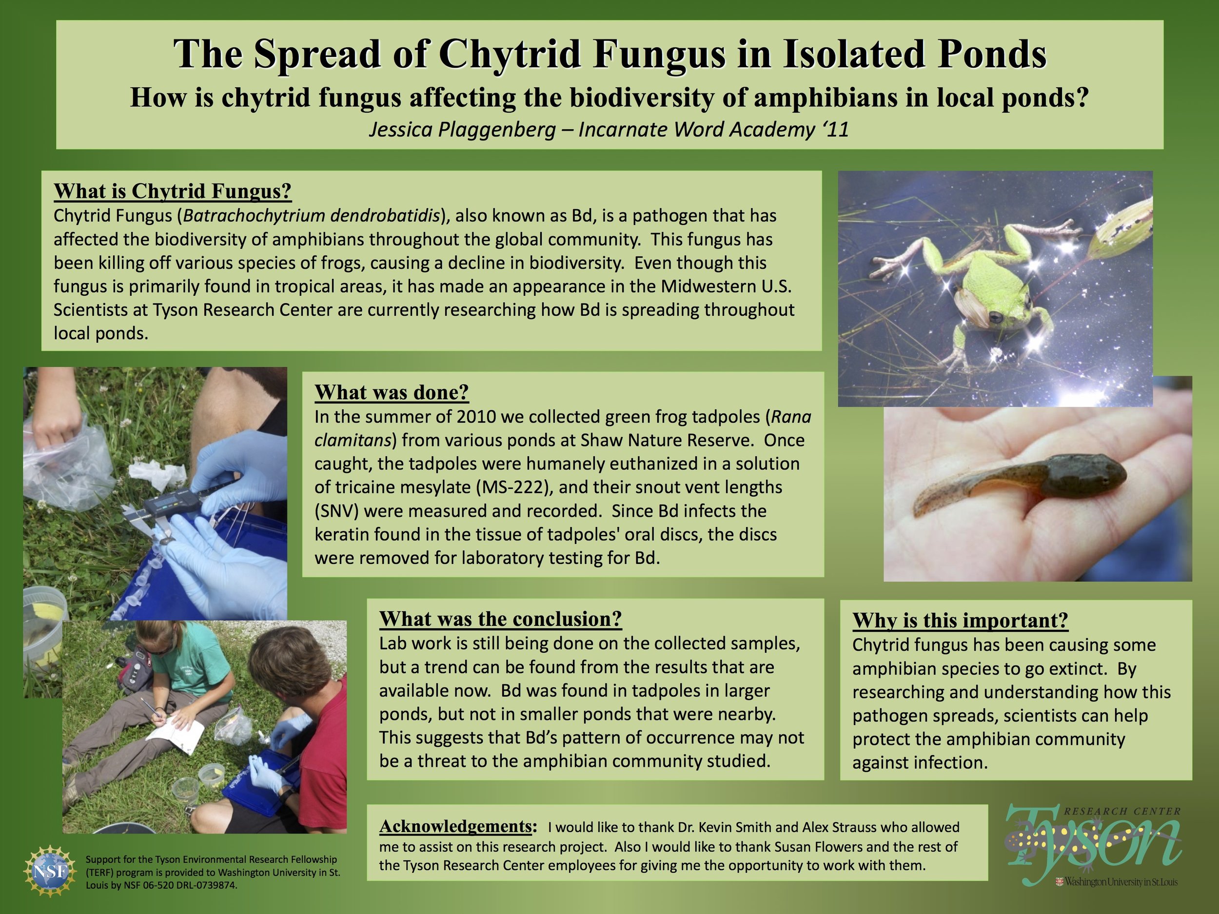 TERF 2010 Chytrid poster.jpg