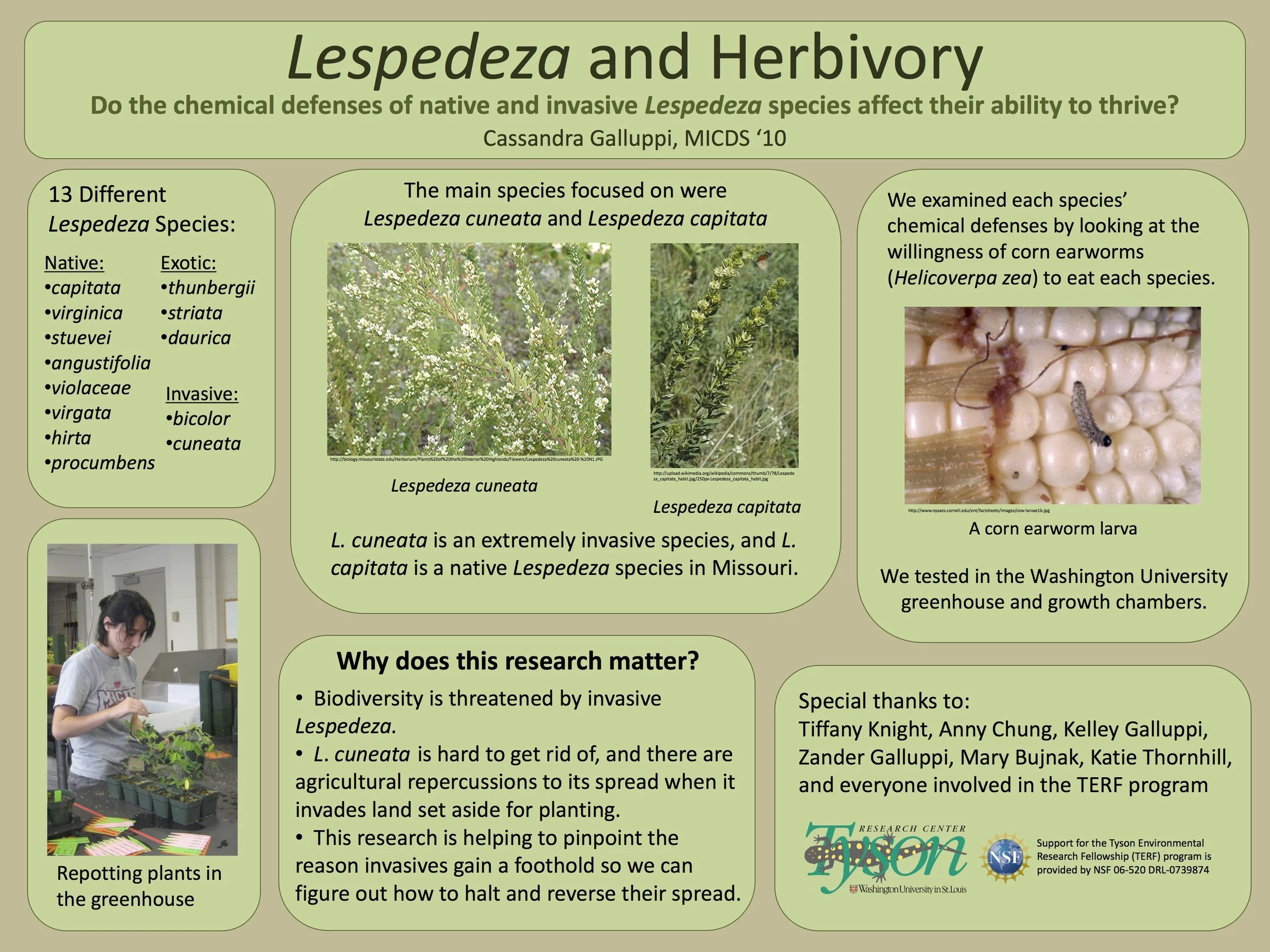 TERF 2009 Lespedeza poster.jpg