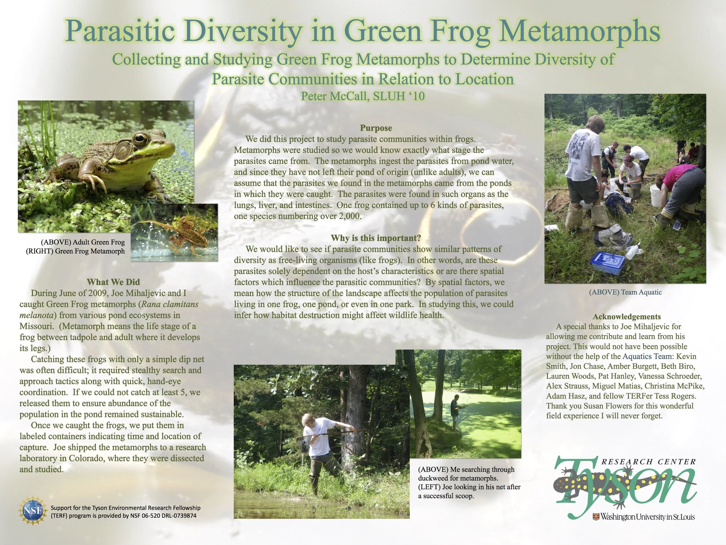 TERF 2009 Metamorphs poster.jpg