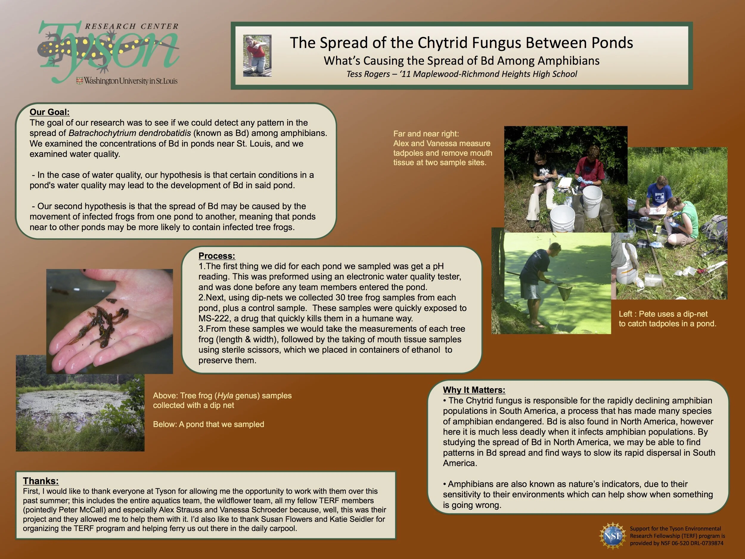TERF 2009 Chytrid poster.jpg