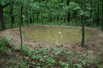 beautifulpond.png