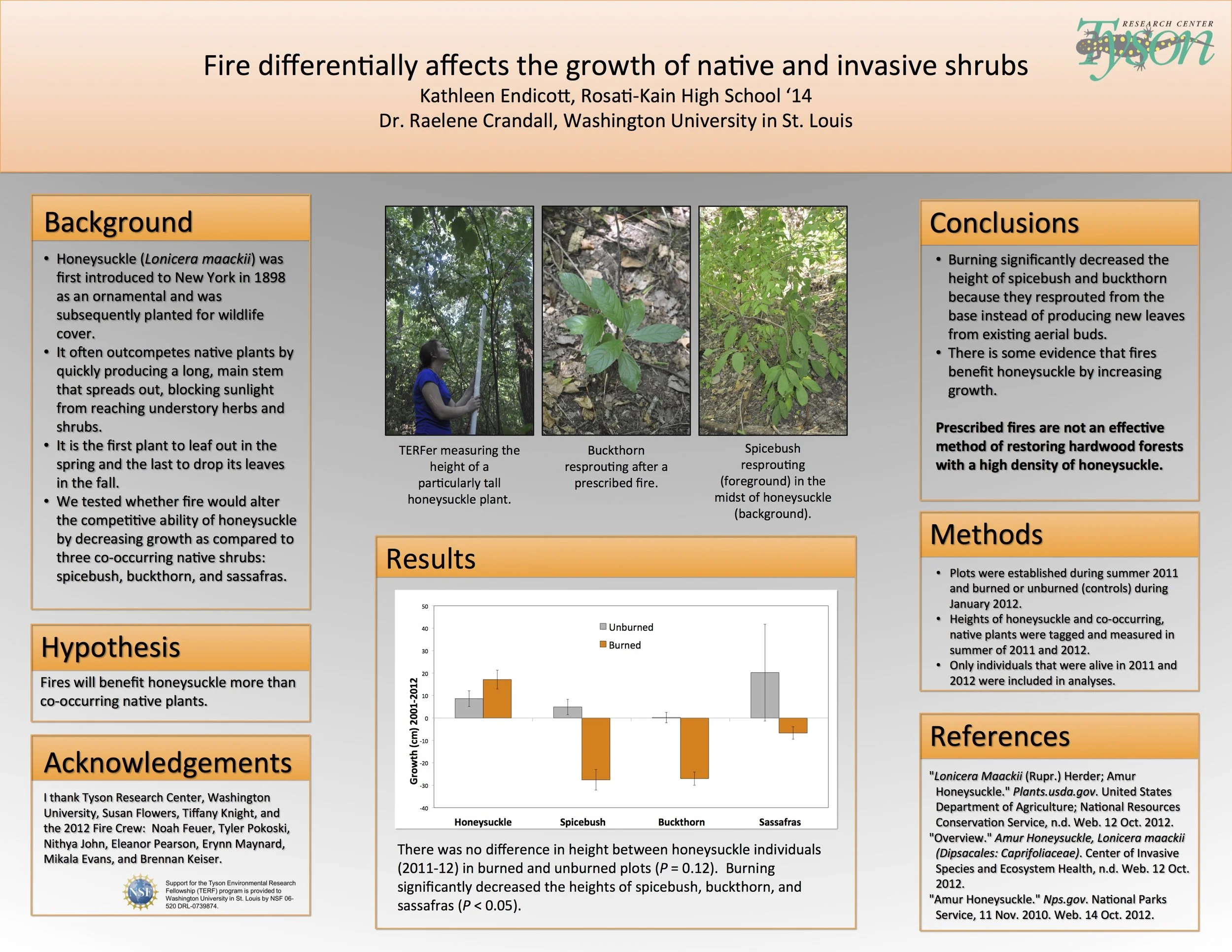 TERF 2012 Endicott poster.jpg