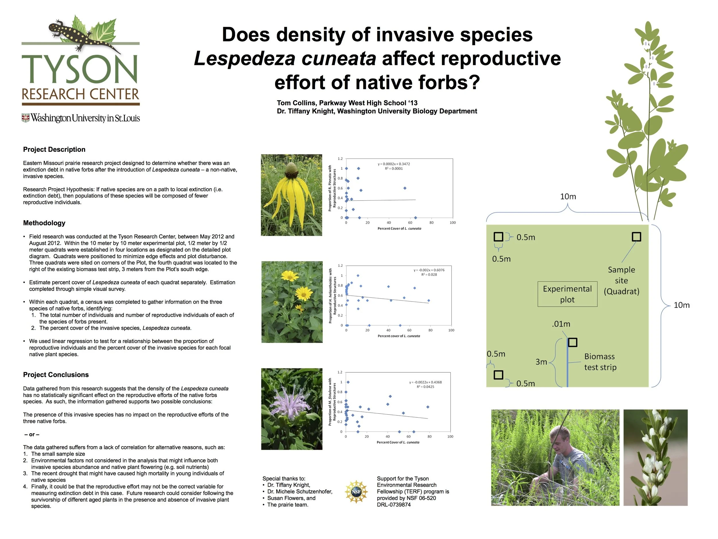 TERF 2012 Collins poster.jpg