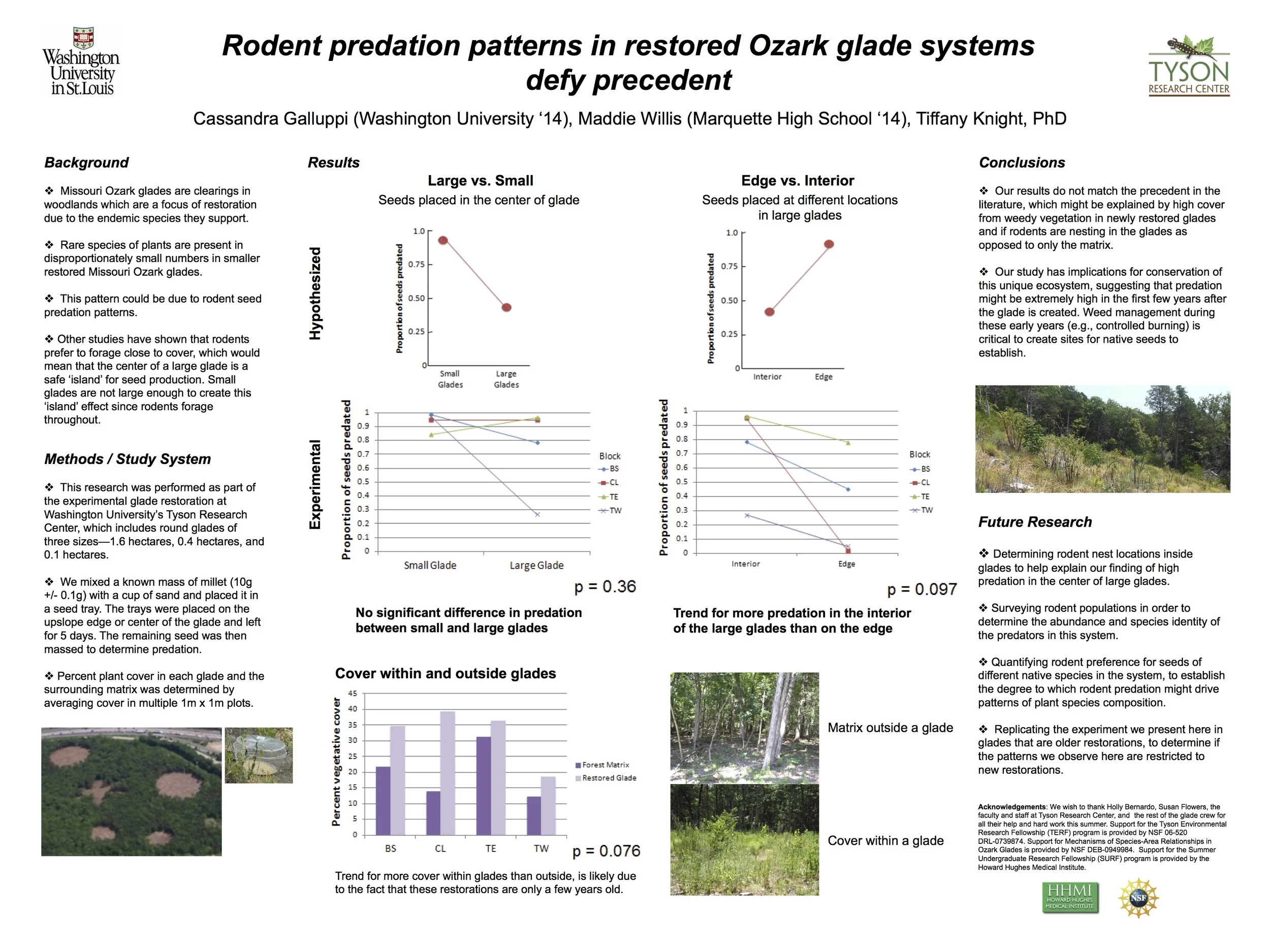 TERF 2012 Galluppi Willis poster.jpg