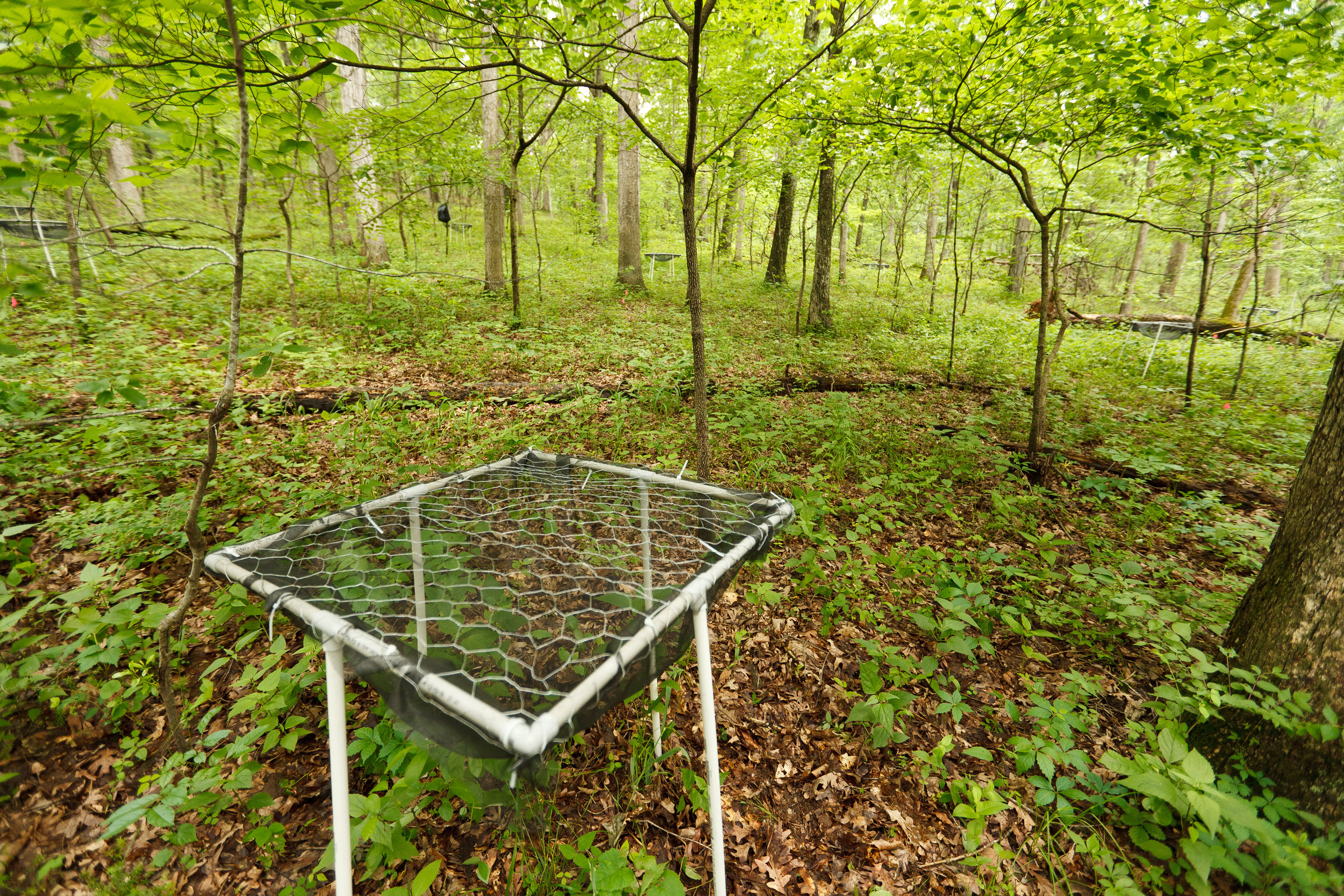   research. education. community.   We are the environmental field station of Washington University in St. Louis. 