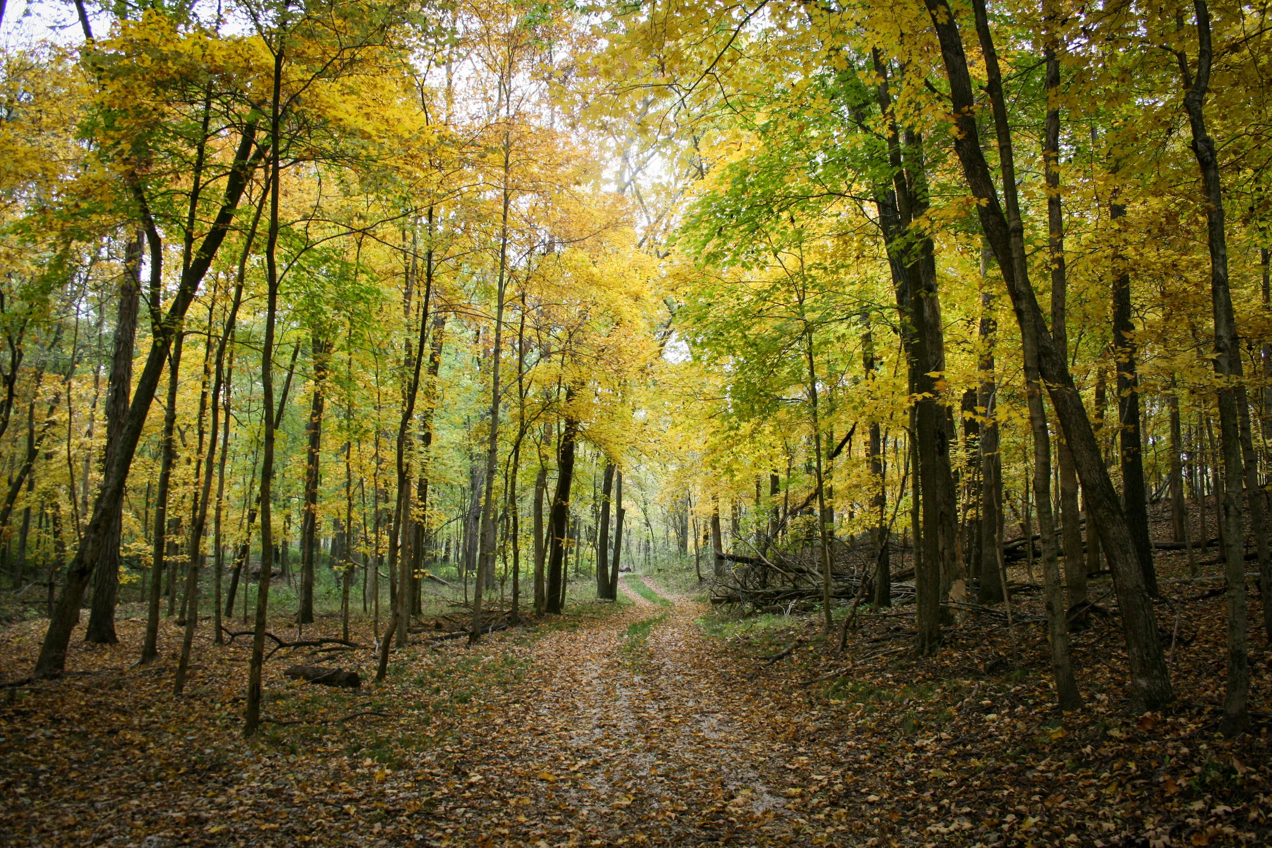 research. education. community. We are the environmental field station of Washington University in St. Louis.